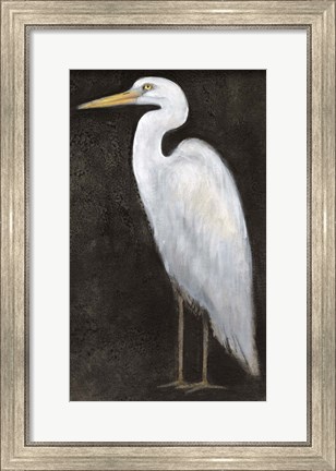 Framed White Heron Portrait II Print