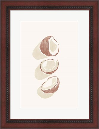 Framed Tropical Coconuts Print