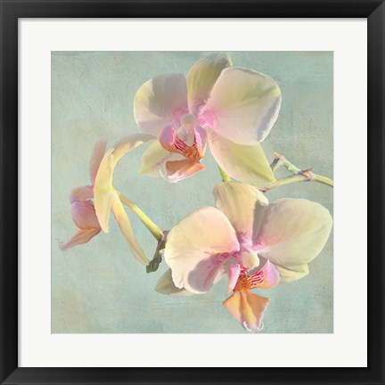 Framed Jewel Orchids I Print