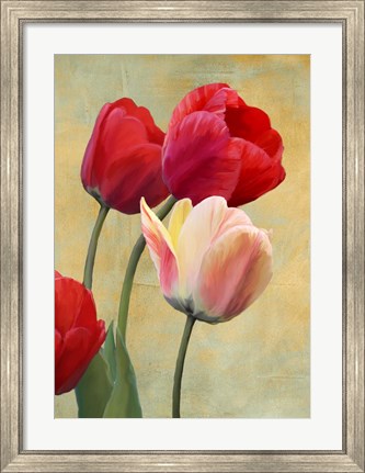 Framed Ruby Tulips Print