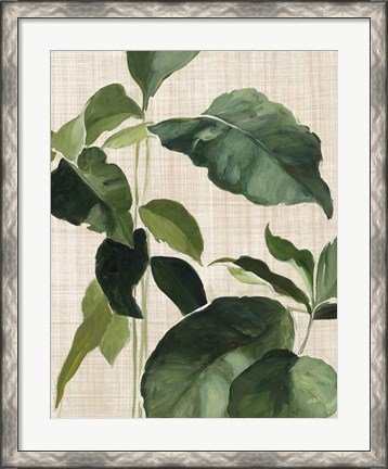 Framed Tropical Study II Linen Print