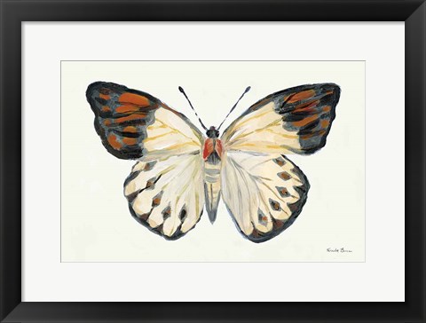 Framed Butterfly Study I Print