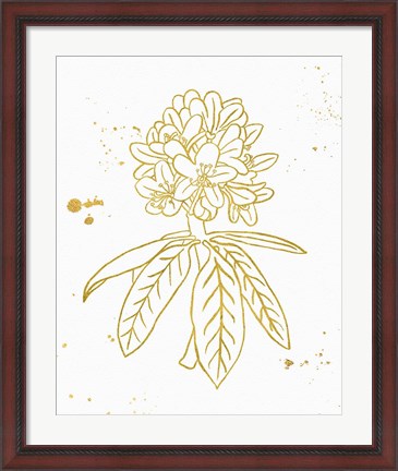 Framed Gold Blooms II Print