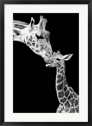 Framed First Love - Giraffe Print