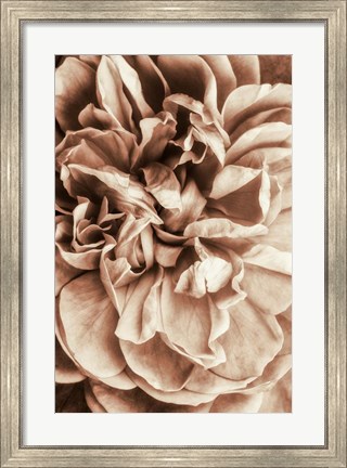 Framed Flower Bloom 3 Print