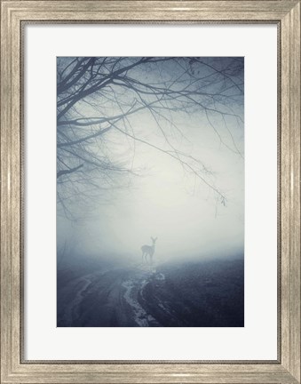 Framed Foggy Morning Hike Print