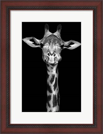 Framed Giraffe Print