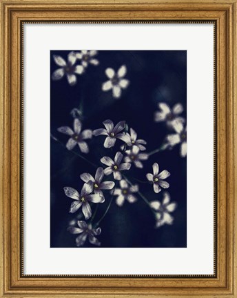 Framed Small Flowers Print
