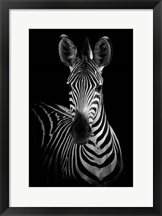 Framed Zebra Print