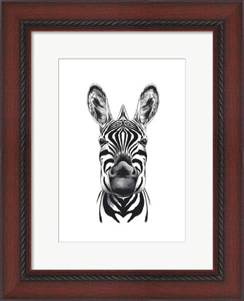 Framed Zebra Illustration Print