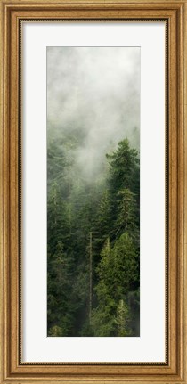 Framed Smoky Forest Panel III Print