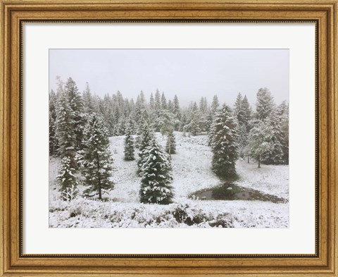 Framed Dusting of Snow Print