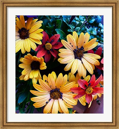 Framed Colorful Bunch Print
