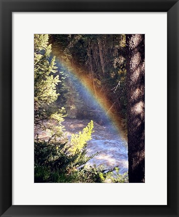 Framed Stream and Rainbow Collide Print