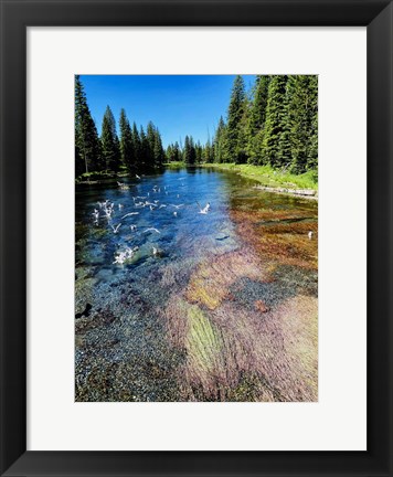 Framed Peaceful Stream Print