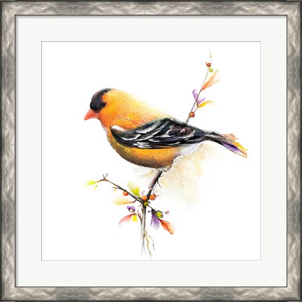 Framed Watercolor Chickadee III Print