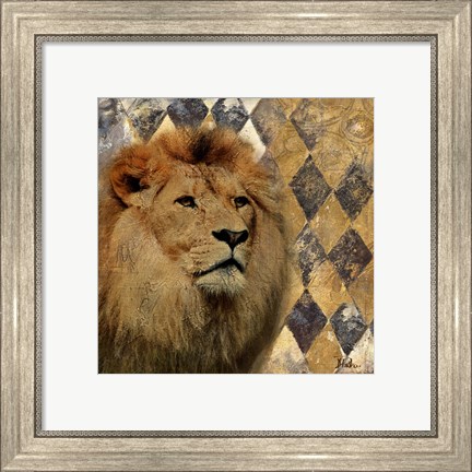 Framed Golden Safari IV (Lion) Print