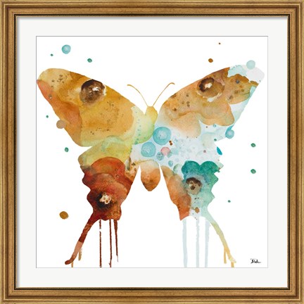 Framed Mis Flores Butterfly II Print
