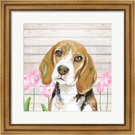 Framed Beagle With Flowers Print