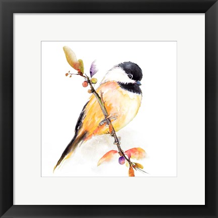 Framed Watercolor Chickadee I Print