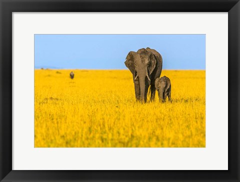 Framed Vibrant Africa Print