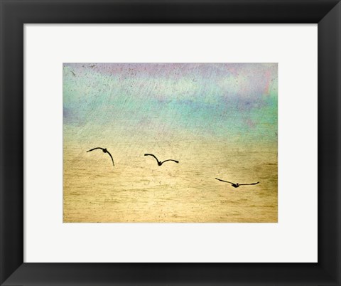 Framed Seagulls In The Sky II Print