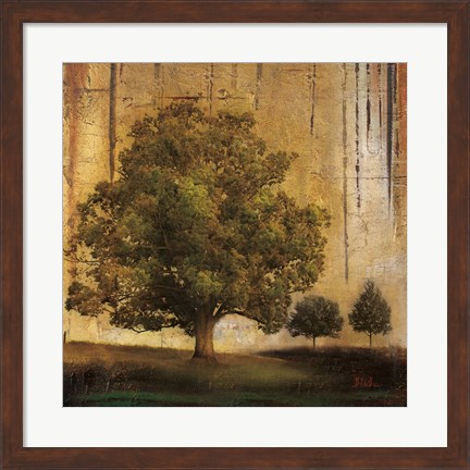 Framed Aged Tree II Print