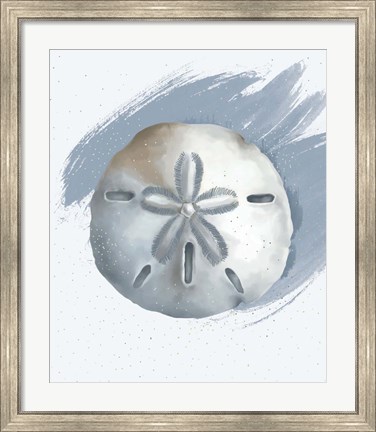 Framed Sand Dollar Print