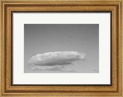 Framed Flock in Flight Print