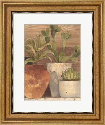 Framed Desert Still Life Light Crop Print