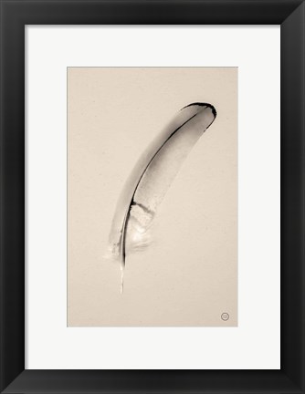 Framed Floating Feathers III Sepia Print