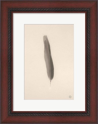 Framed Floating Feathers II Sepia Print