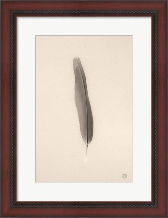 Framed Floating Feathers II Sepia Print