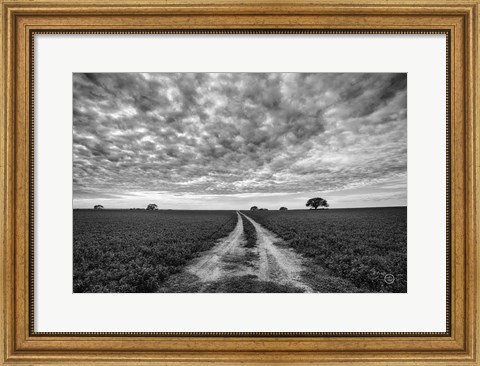 Framed Farm Road Print