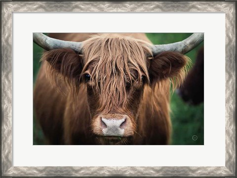 Framed Cow Nose Print
