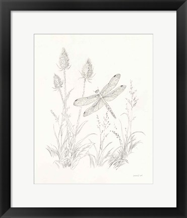 Framed Nature Sketchbook IV Print