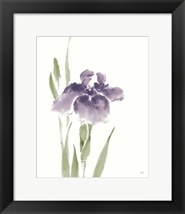 Framed Japanese Iris III Purple Crop Print