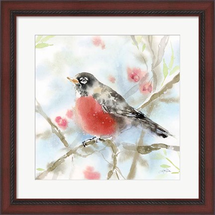 Framed Spring Robin Print