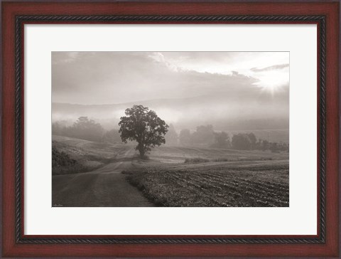 Framed Morning Haze II Print
