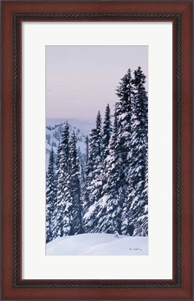 Framed Tatoosh Range Panel III Print