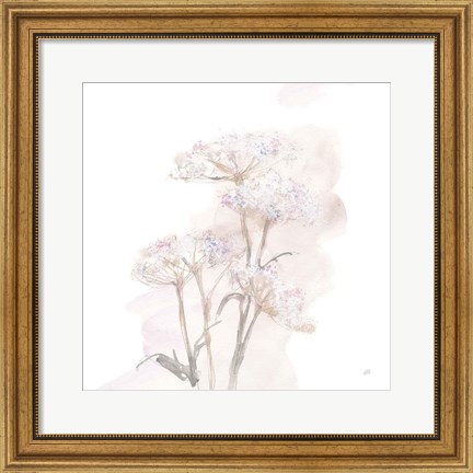 Framed Queen Annes Lace V Print