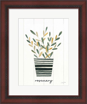 Framed Herb Garden V Print