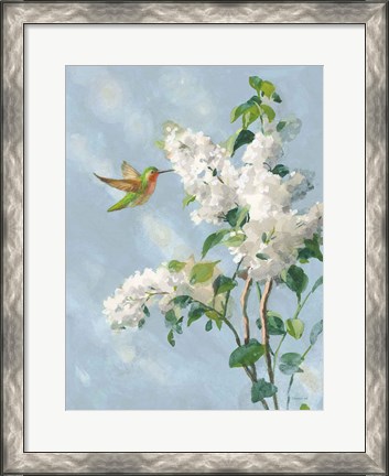 Framed Hummingbird Spring I Soft Blue Print