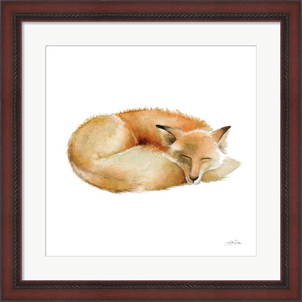 Framed Sleeping Fox on White Print