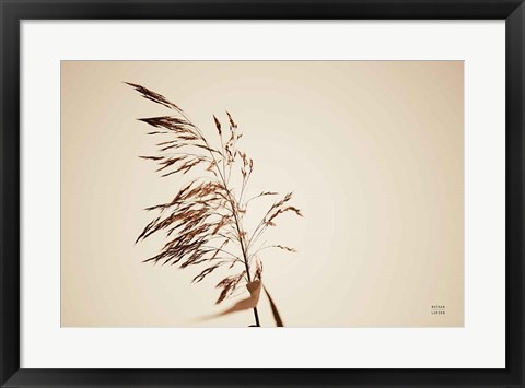 Framed Summer Reeds III Print