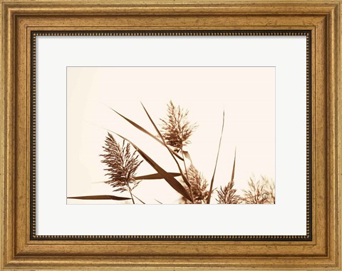 Framed Country Grasses I Print
