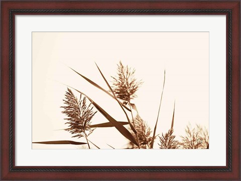 Framed Country Grasses I Print