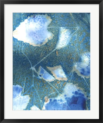 Framed Cyanotype Leaves I Print
