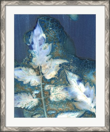Framed Cyanotype Leaves II Print