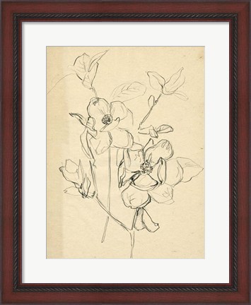 Framed Contour Flower Sketch II Print